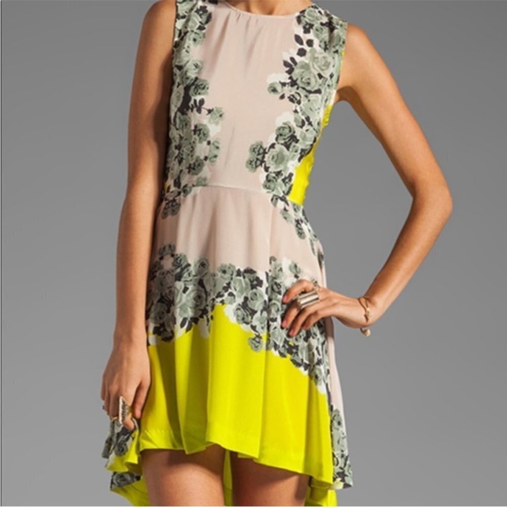 Shakuhachi Acid Bloom Kick Out Silk Dress